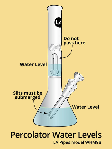 How to Properly Fill Your Bong, Rig, or Perc Chamber with Water