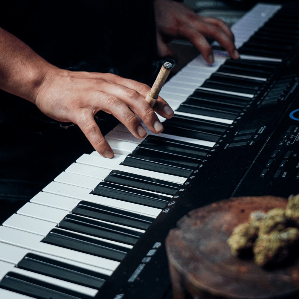 Original Cannamold Kit