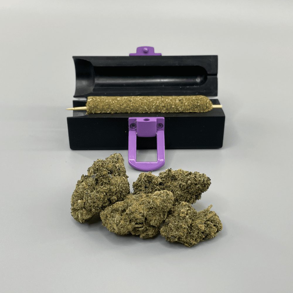 Original Cannamold Kit