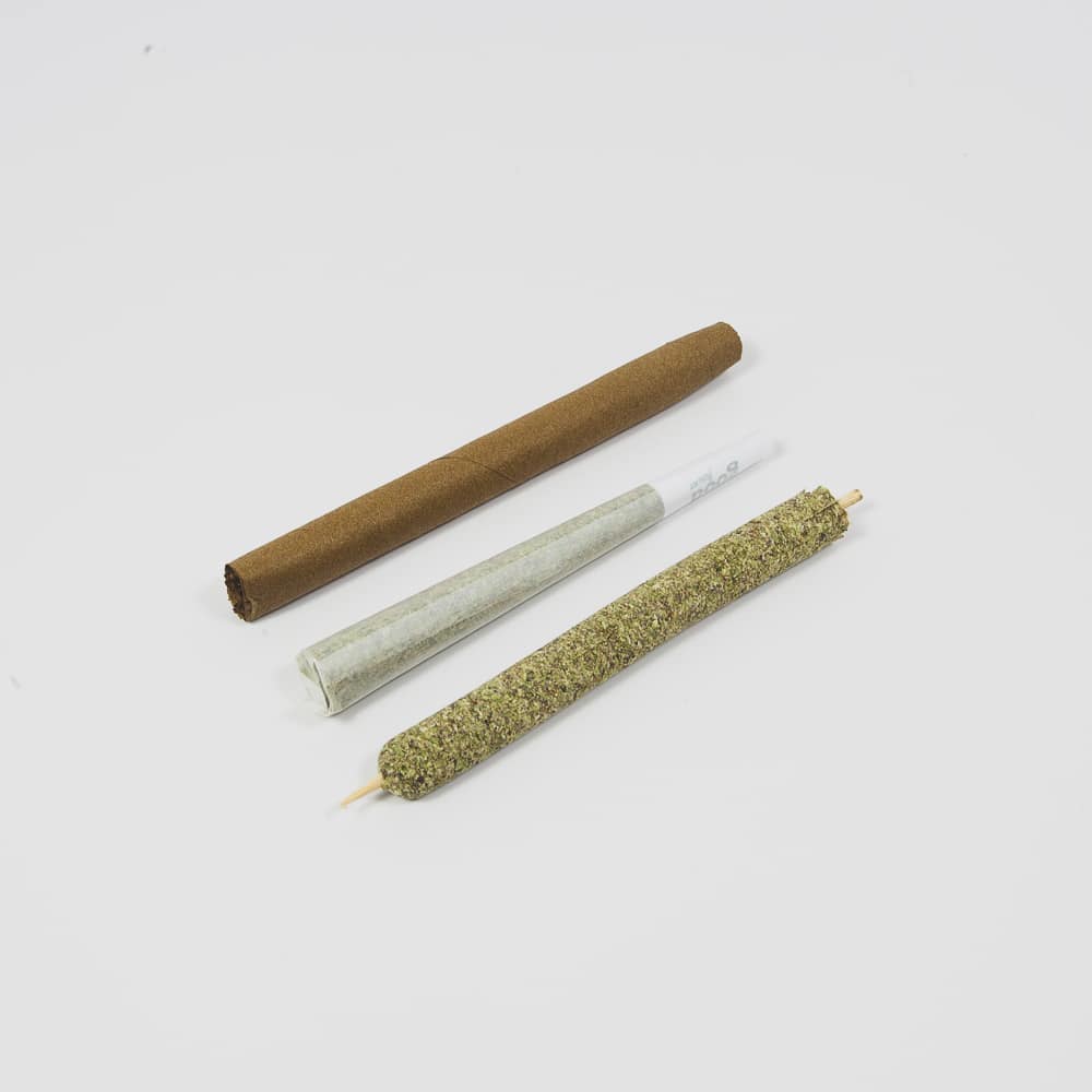 Original Cannamold Kit