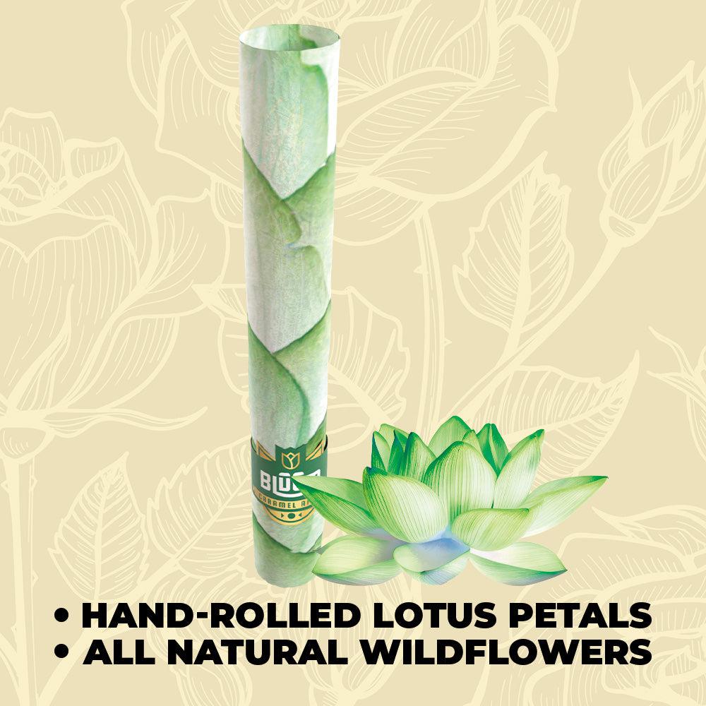 Bluum Wild Flower Cones - Green Lotus - Caramel Apple - 2pk - 3ct