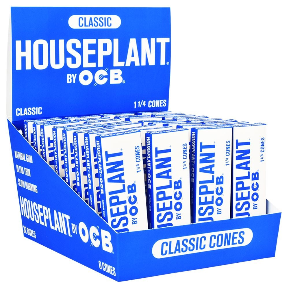 Houseplant by OCB Classic Cones | 1 1/4 | 6pc | 32pk Display