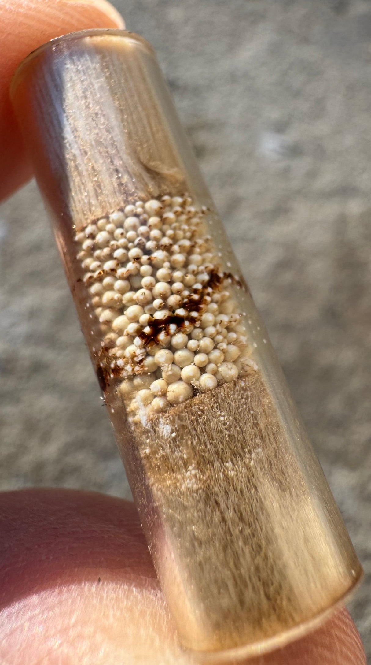 Pure Puff Filter Replacement Packs