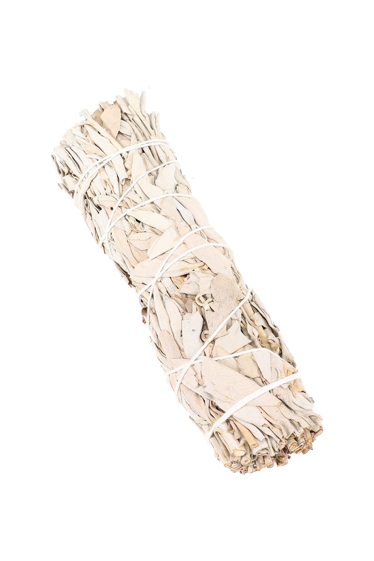 6″ California White Sage Smudge Stick