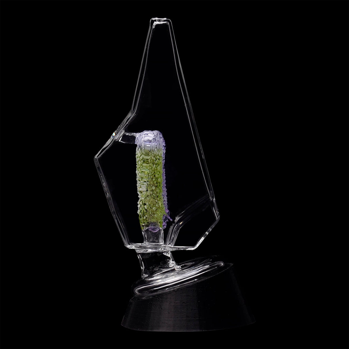 CaliBear Crystal Arch Puffco Peak Glass Attachment