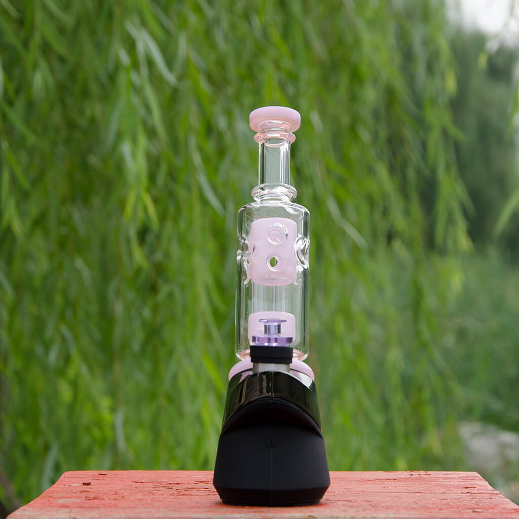 Calibear Straight Fab Puffco Attachment in clear glass with pink accents, front view on natural background
