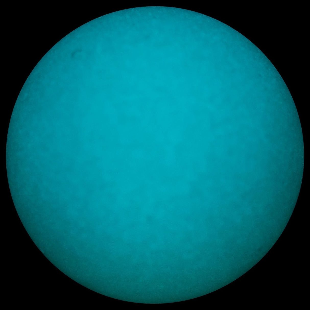 Glasshouse Egg Terp Beveled Banger Kit Top View on Black Background