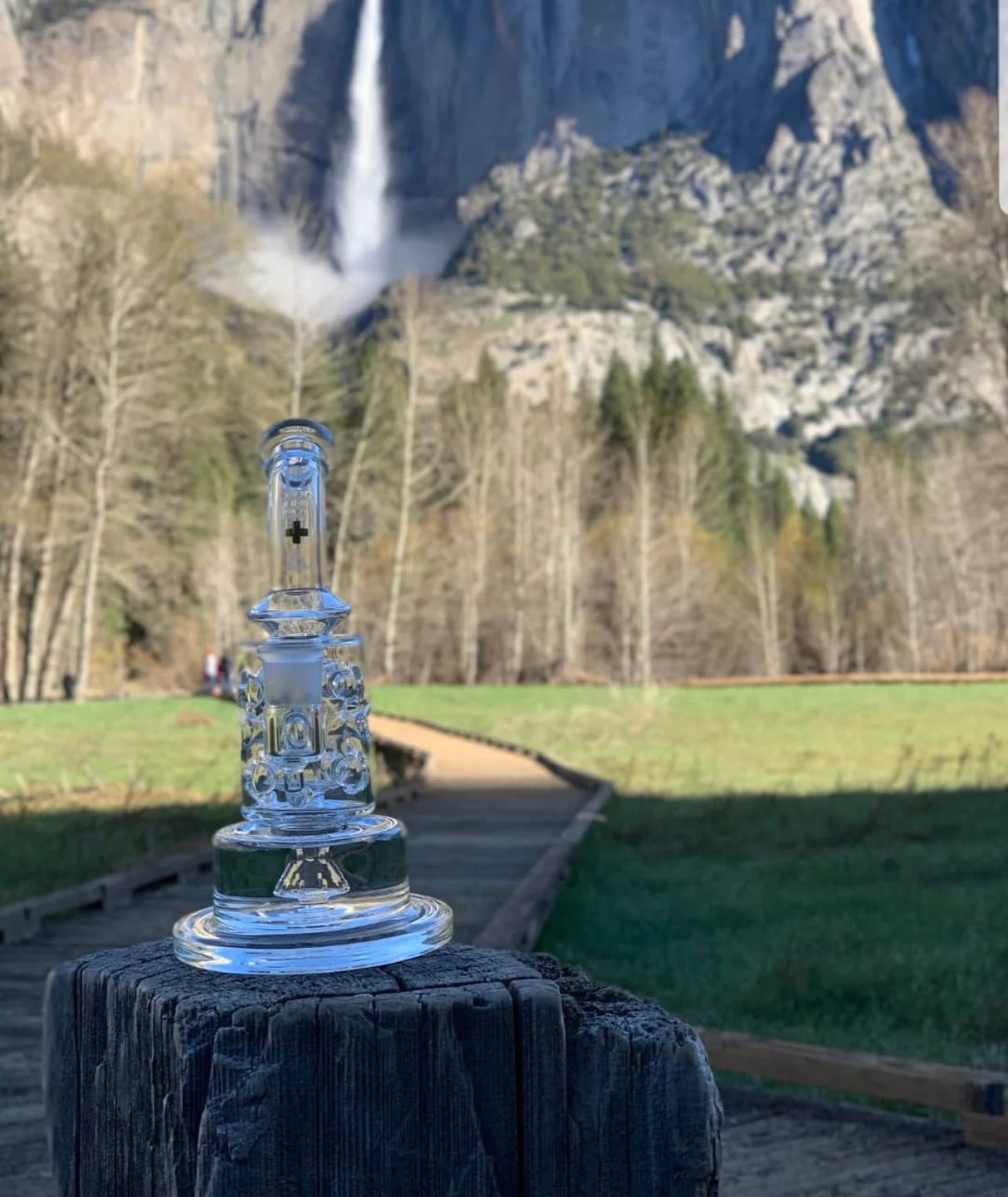 Beta Glass Labs Petra XL clear dab rig with showerhead percolator, outdoor nature backdrop