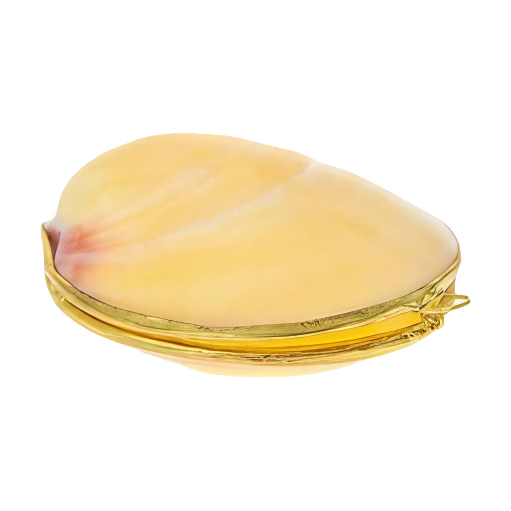 My Bud Vase Pearl Stash Shell in Assorted Colors with Brass Material - Front View