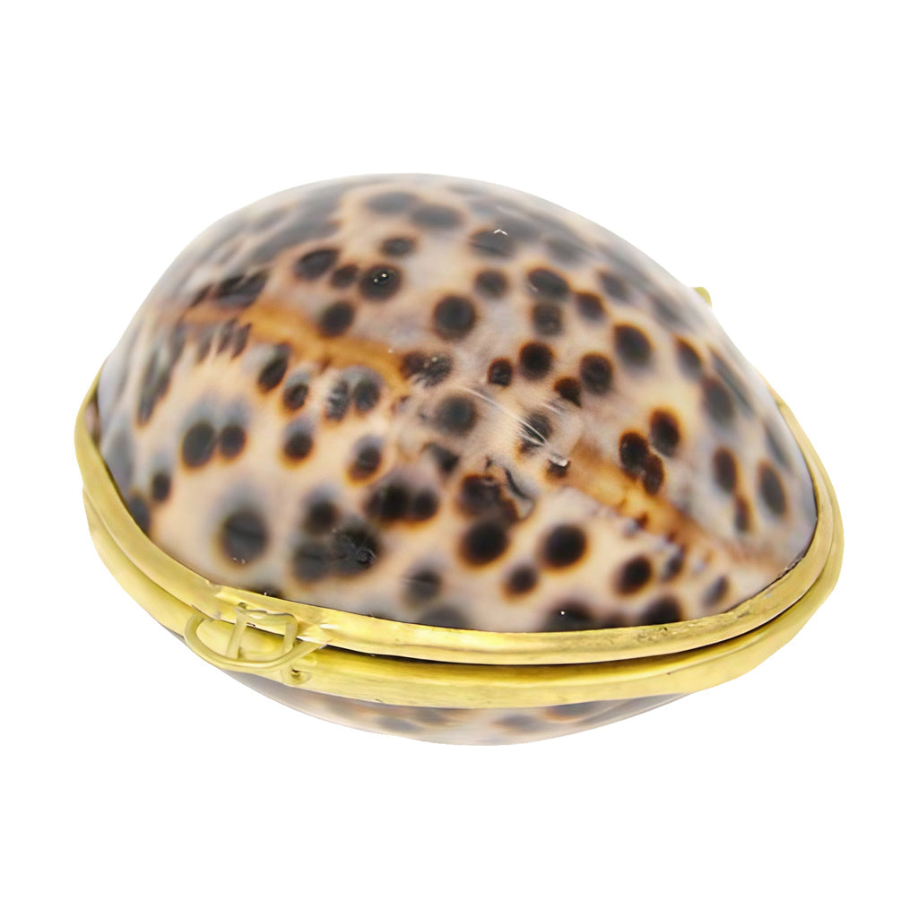 My Bud Vase Spotted Stash Shell with brass accents, front view on a white background