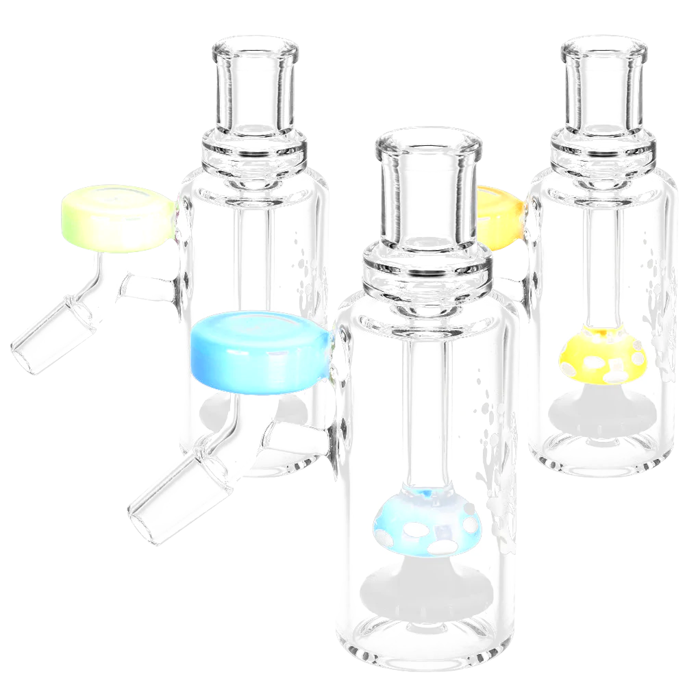 Pulsar Mushroom 2.0 Ash Catcher with colorful caps, 45-degree joint angle, heavy wall borosilicate glass