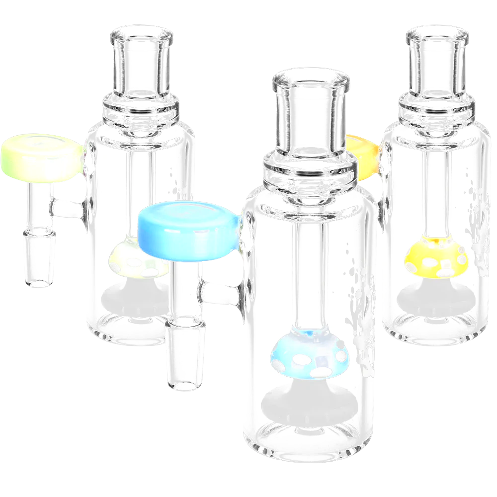 Pulsar Mushroom 2.0 Ash Catcher in Borosilicate Glass, 90 Degree Joint, Front View