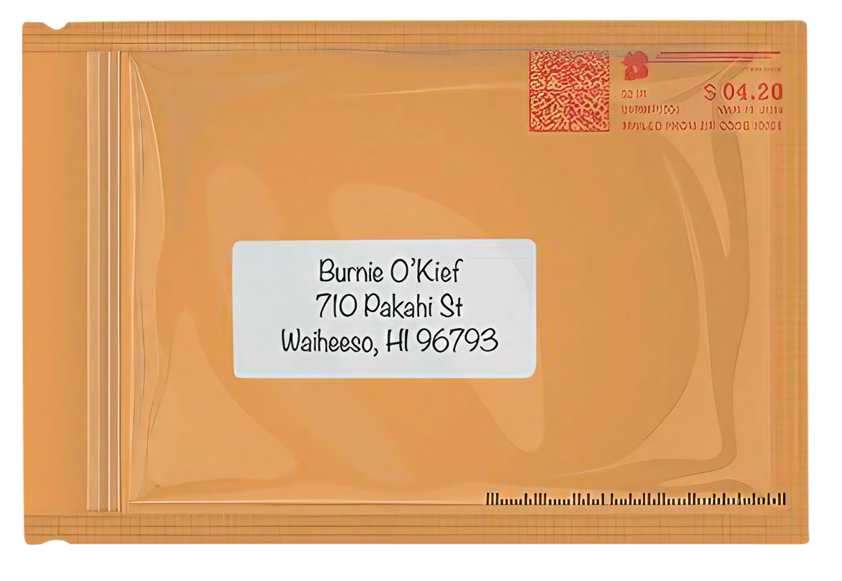 Stink Sack Priority Meds Smell-Proof Storage Bags 4"x6" 10 Pack, Front View with Label