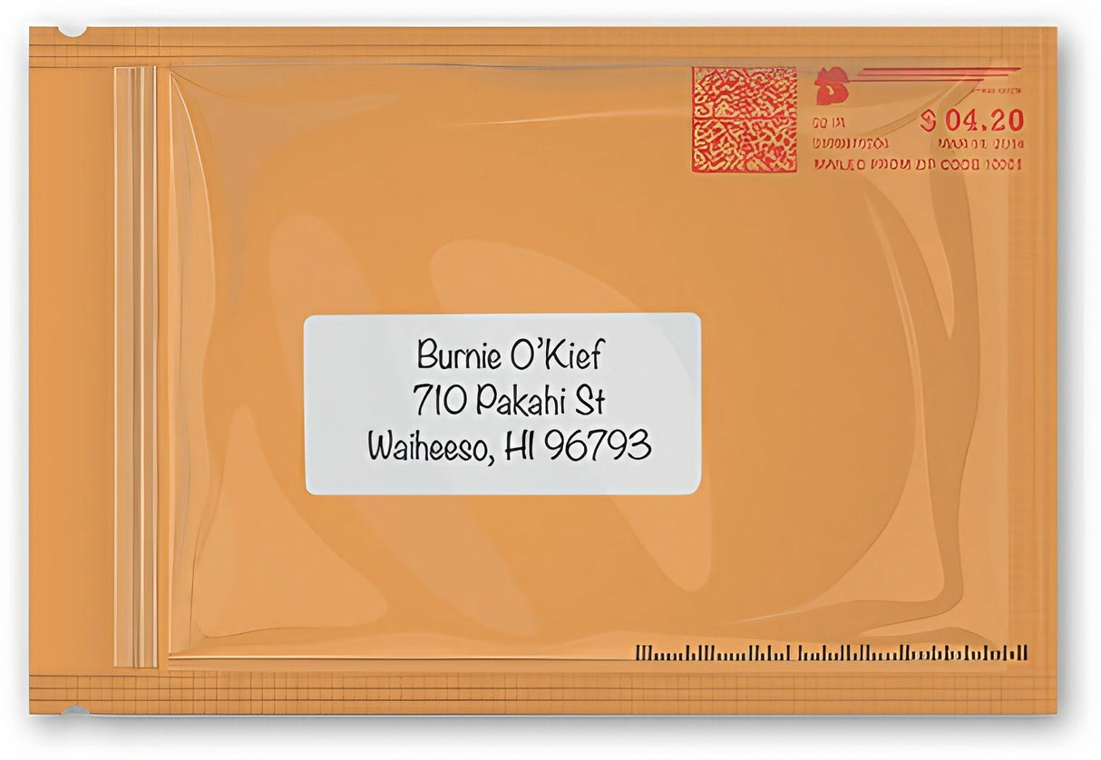 Stink Sack Priority Meds Smell-Proof Storage Bag 4"x6" 10 Pack, Front View on White Background