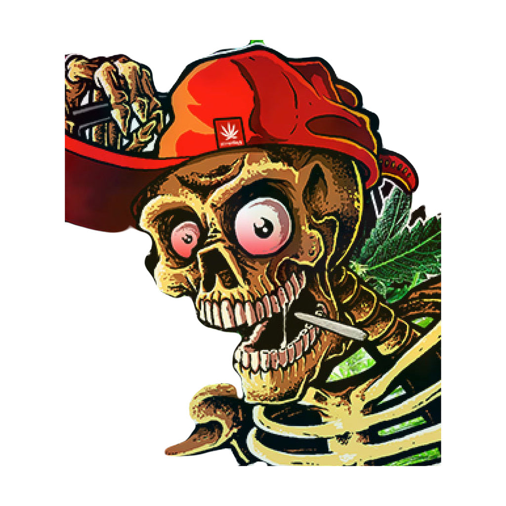 StonerDays Apparel featuring a vibrant rainbow tie-dye design with 'Don't Panic' slogan