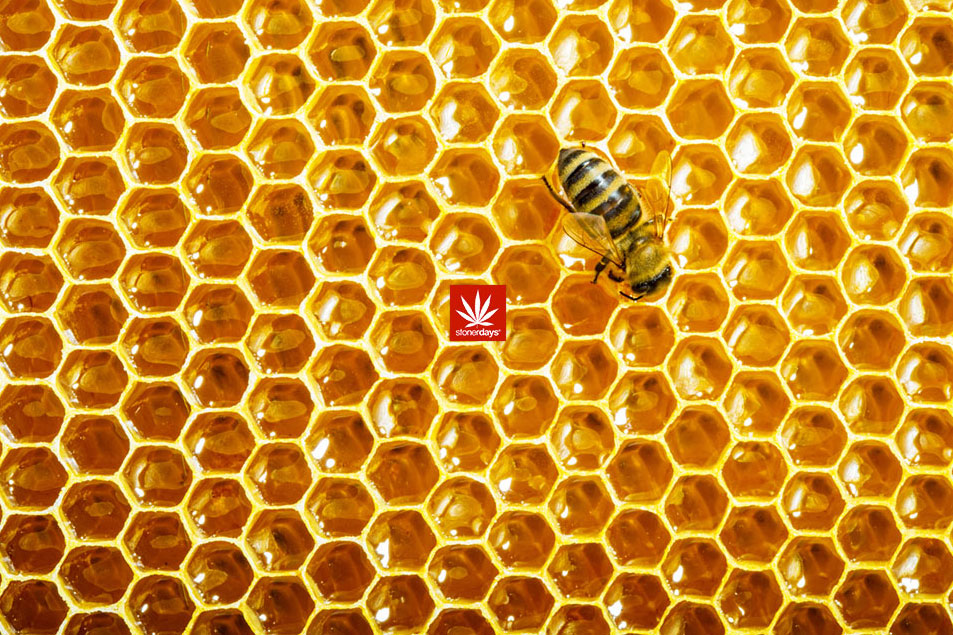 StonerDays Honeycomb Dab Mat with vibrant honeycomb design and rubber base, ideal for bongs and concentrates.