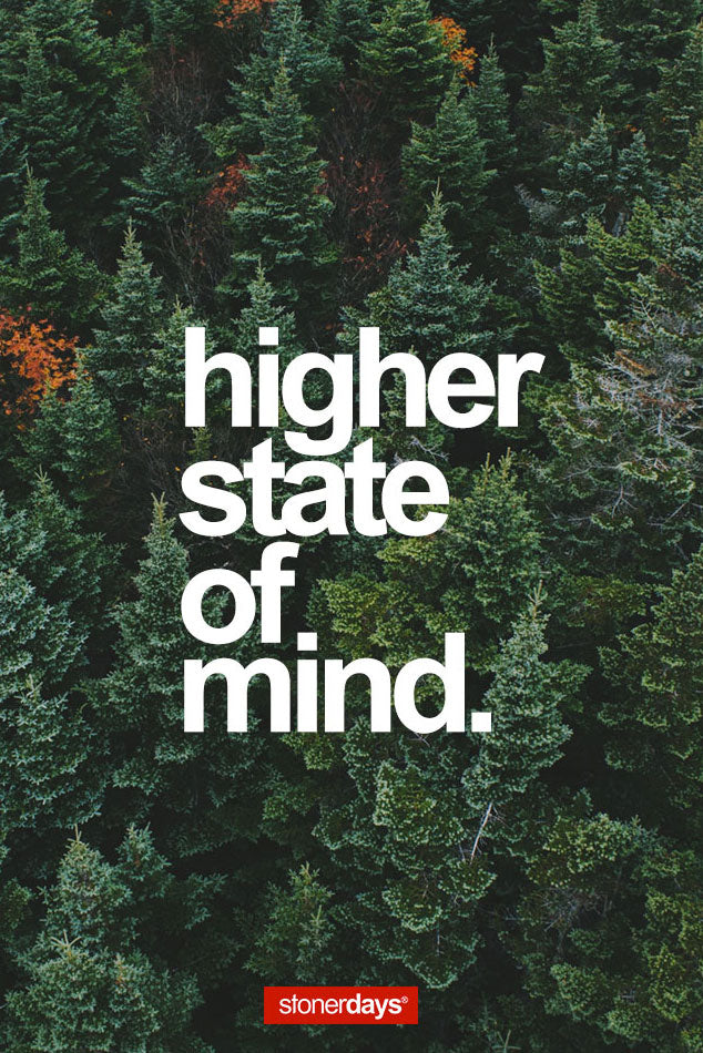 StonerDays Hsom Lost In The Trees Dab Mat, 8" diameter with forest print and text