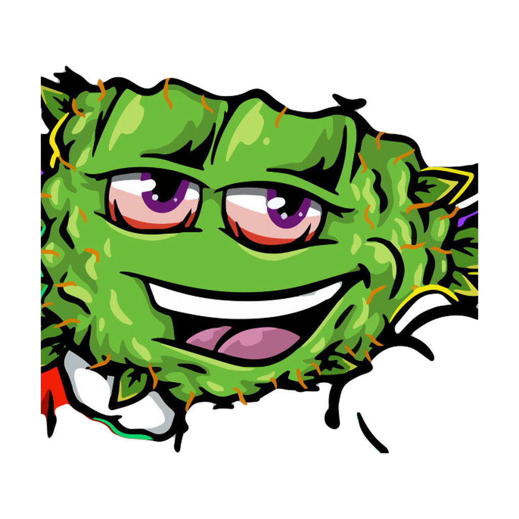 StonerDays vibrant rainbow tie-dye t-shirt with cartoon cannabis leaf character