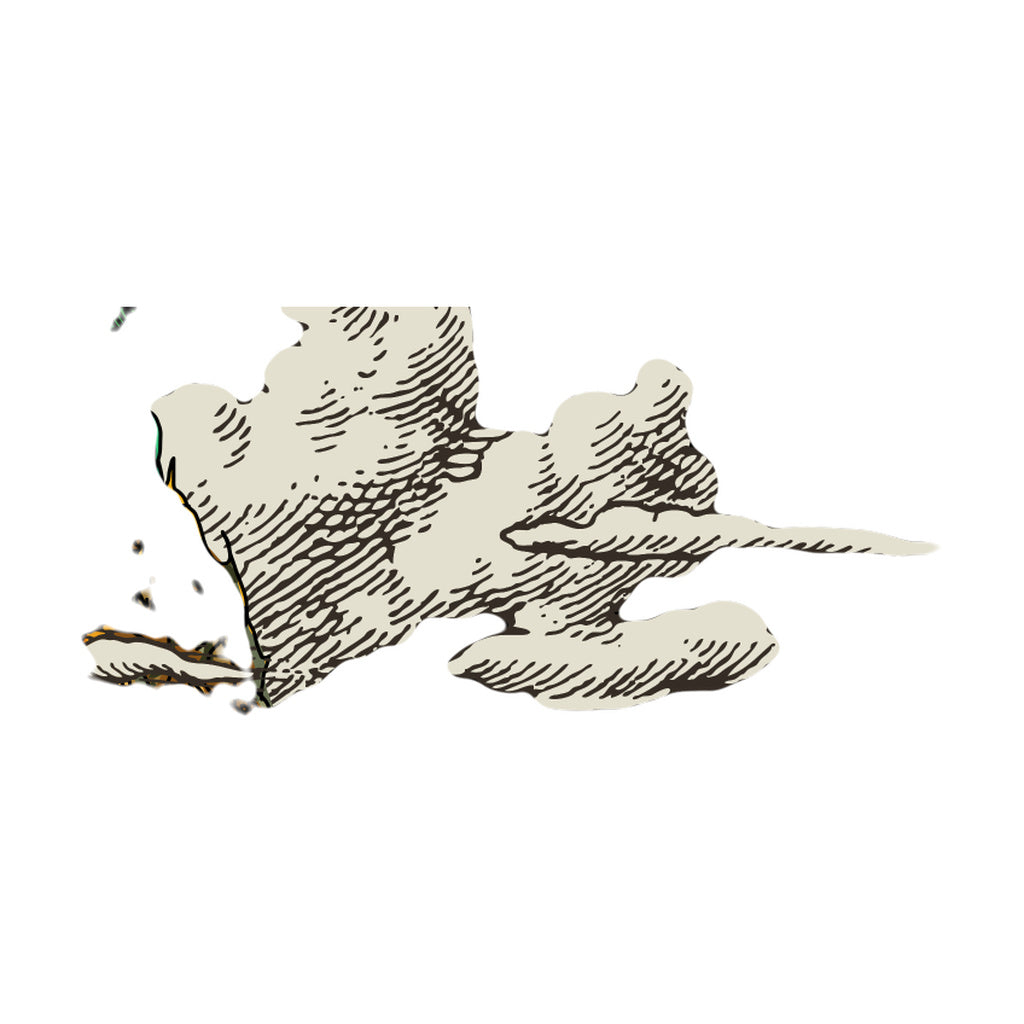 StonerDays Men's Pineapple Express Tank, Cotton, Large Size, Train and Cannabis Design