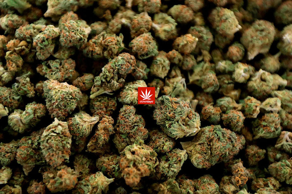 StonerDays Sea Of Nugs Dab Mat featuring a dense cannabis nug print, 12" x 8" polyester