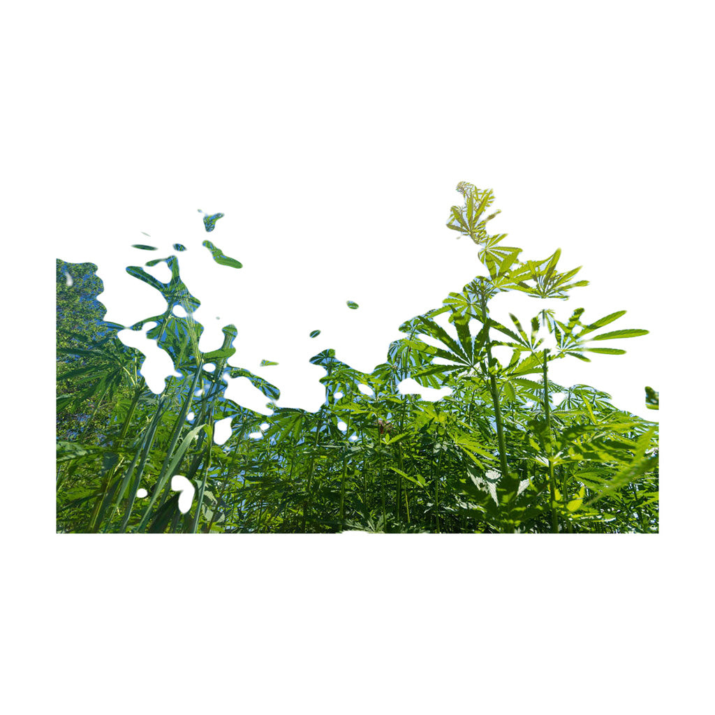 StonerDays The Great Outdoors Dab Mat with vibrant cannabis design, polyester and rubber, 1/4" thick