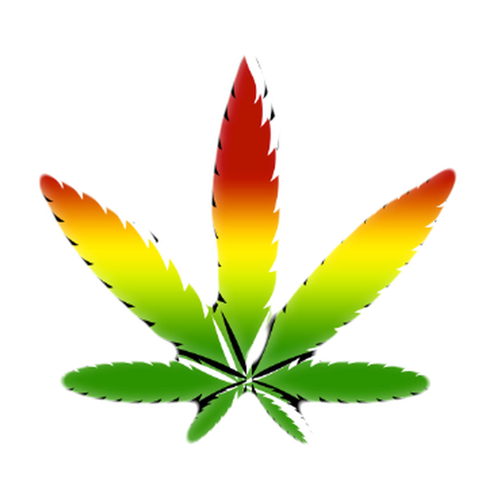 StonerDays Women's Racerback Tank with 'This Is My Four Twenty' Graphic, Green Accents