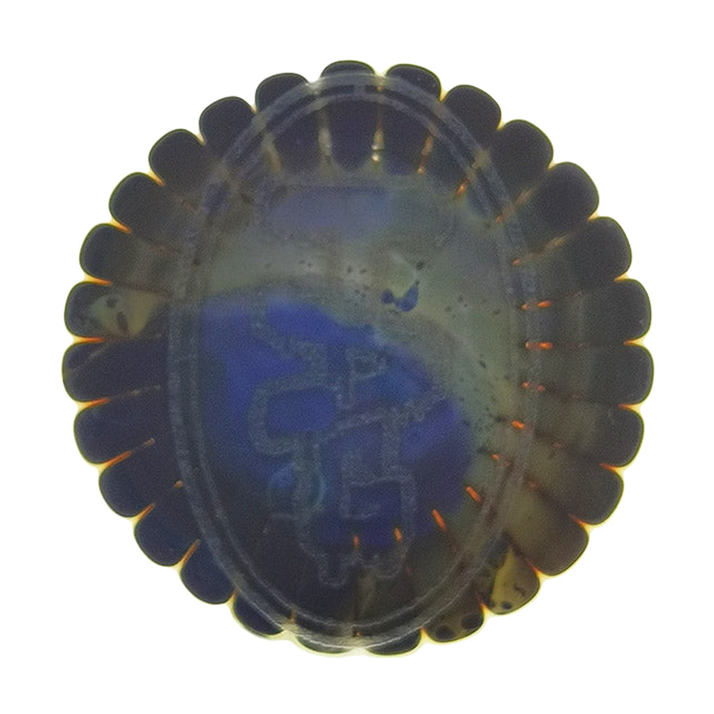 TAG 6" Fixed Showerhead Puck Pyramid Rig top view on white background, 14MM Male joint