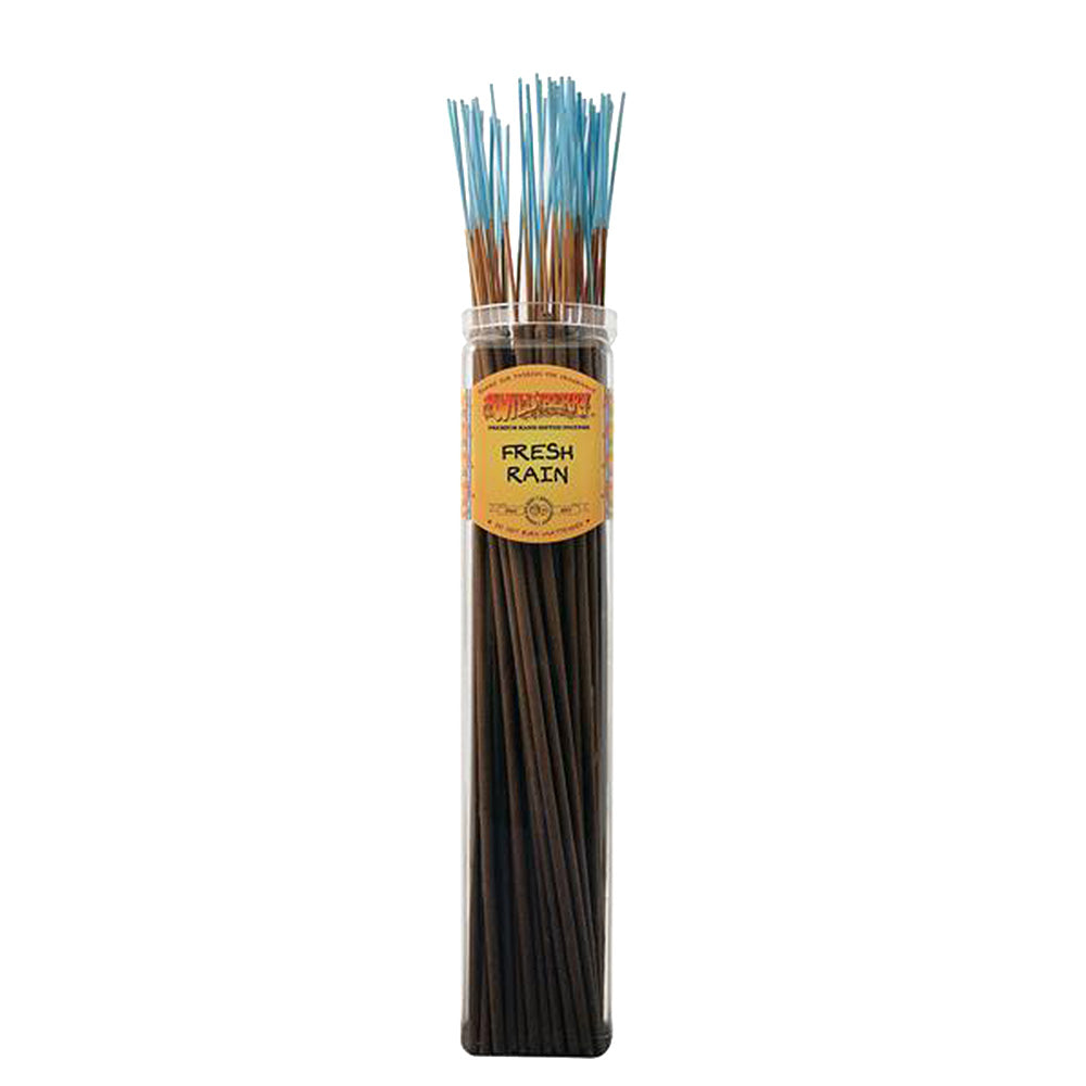 Wild Berry Biggies Incense Sticks, Fresh Rain scent, 50 pack front view on white background