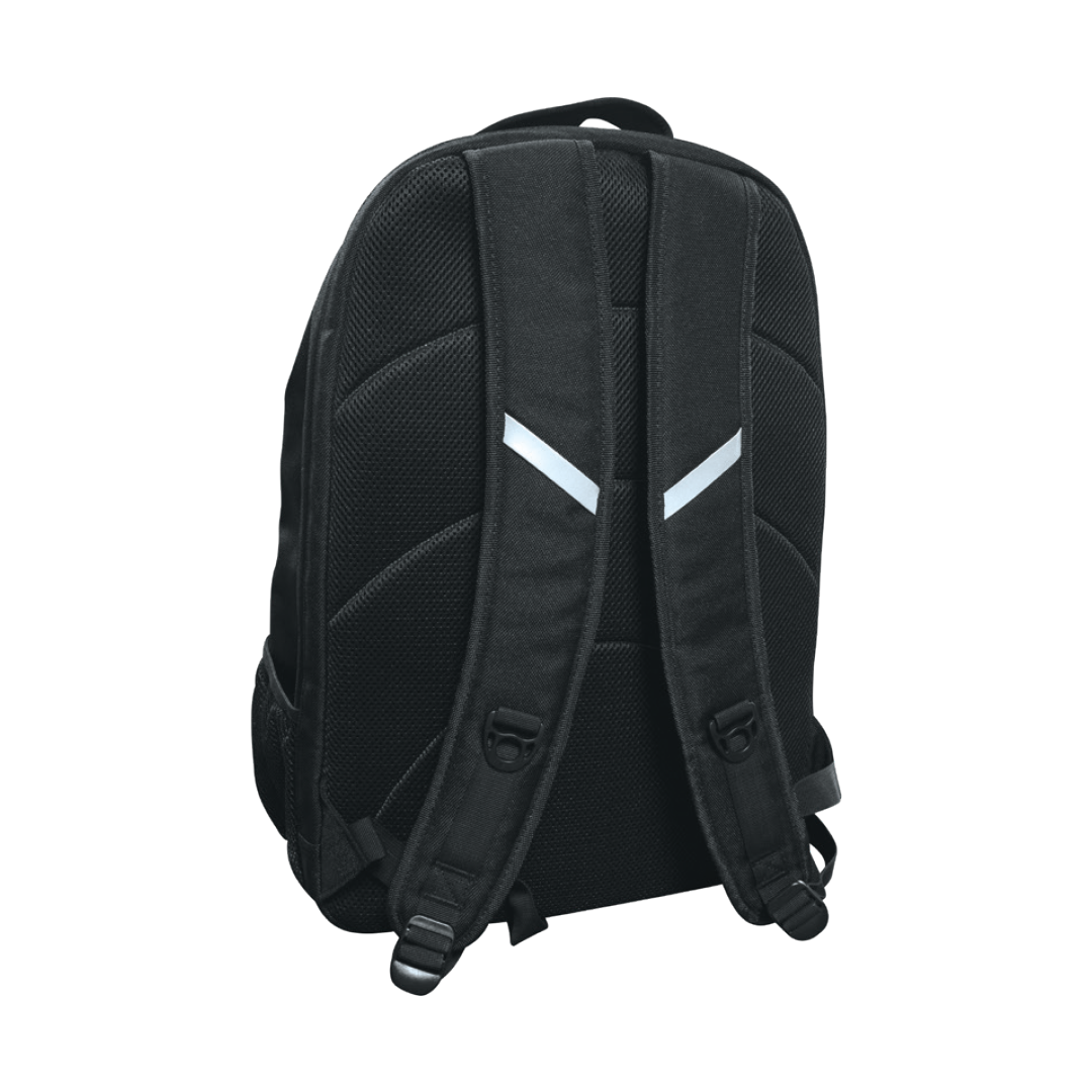 Skunk RAW Black Travel Backpack with Full-Foil Insert, Rear View on White Background