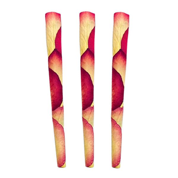 Malibu Rose Petal King Cones 3-Pack by PETALS, front view on white background