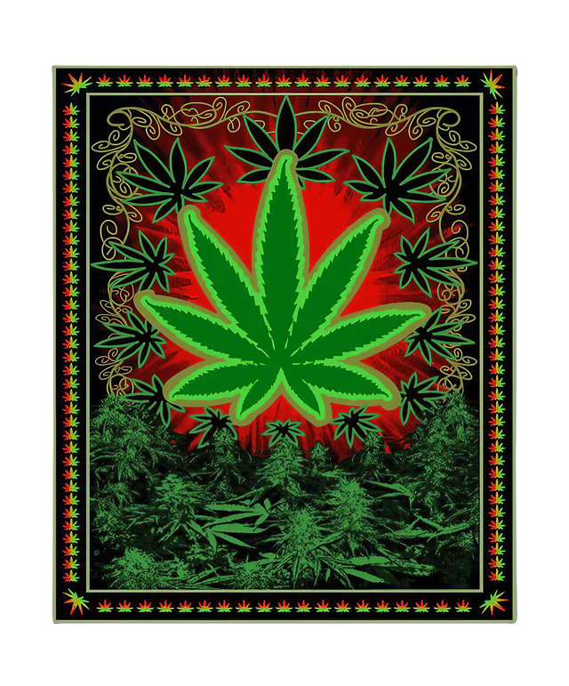 Chicko Leaf Plush Fleece Blanket with vibrant green cannabis leaf design on red background