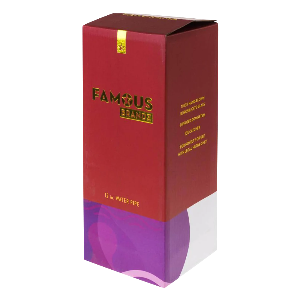 Famous Brandz "Panorama" 12" Straight Tube Bong Box on White Background