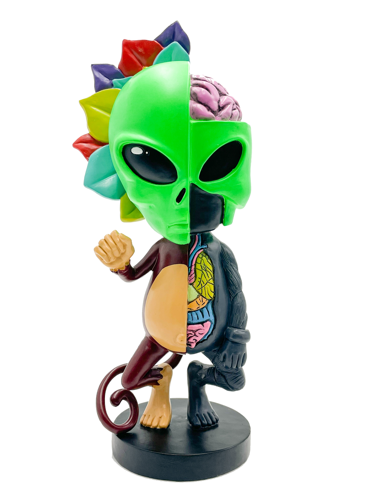 Limited Edition AFM Skeletal Figure - 12" - Colorful Alien Design with Exposed Brain