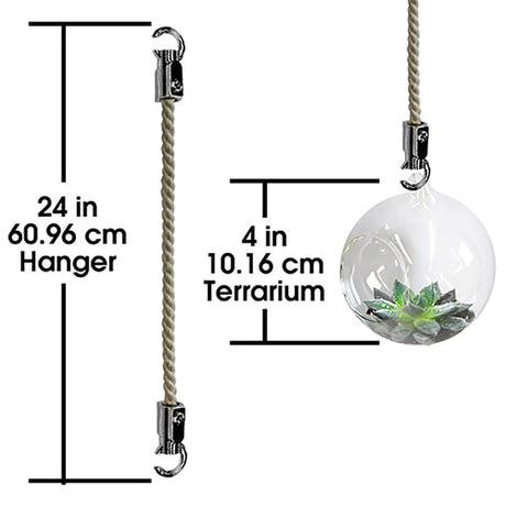 4" Borosilicate Glass Mini Terrarium with Rope Hanger, Ideal for Home Decor