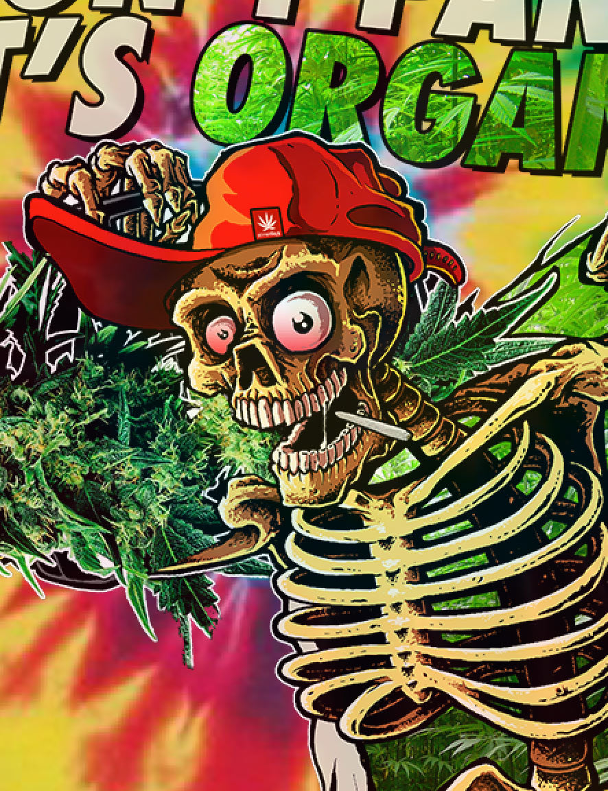 StonerDays Apparel featuring skeleton graphic with rainbow tie-dye background