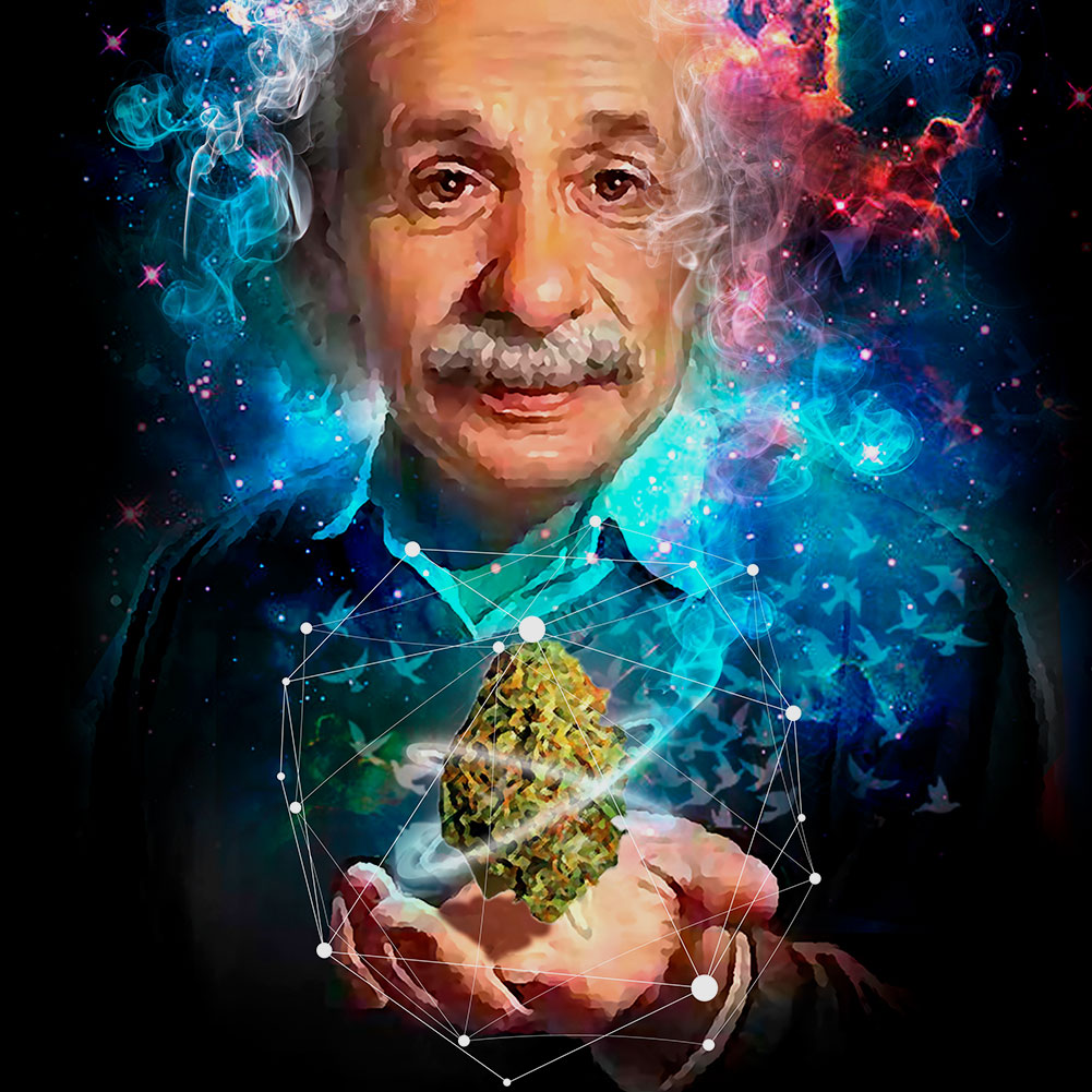 StonerDays Einstein Long Sleeve Shirt featuring a colorful graphic print on black cotton