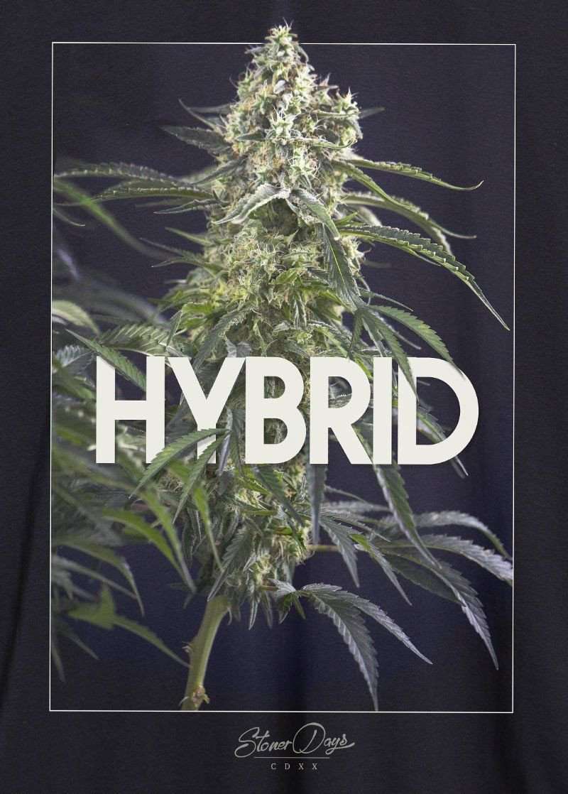 WOMEN'S HYBRID RACERBACK