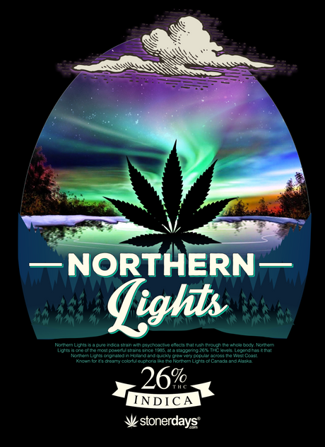 StonerDays Men's Northern Lights Tee featuring vibrant aurora graphic and cannabis leaf, size options available.