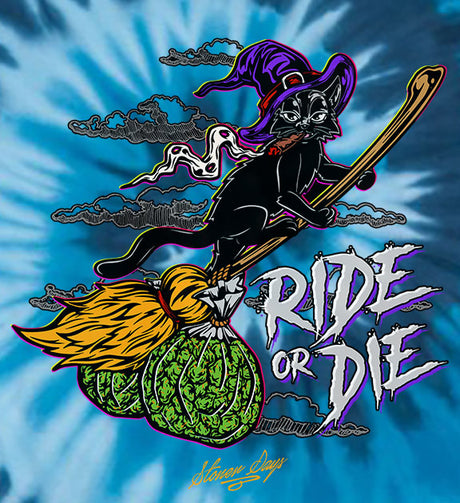 StonerDays Ride Or Die Kitty graphic t-shirt in blue tie-dye, 100% cotton material