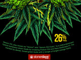 StonerDays Venom OG graphic on black background, highlighting 26% THC content