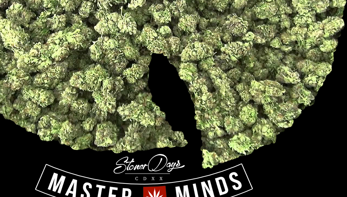 StonerDays Wu Tang Hoodie with cannabis leaf design in green, front view on a black background