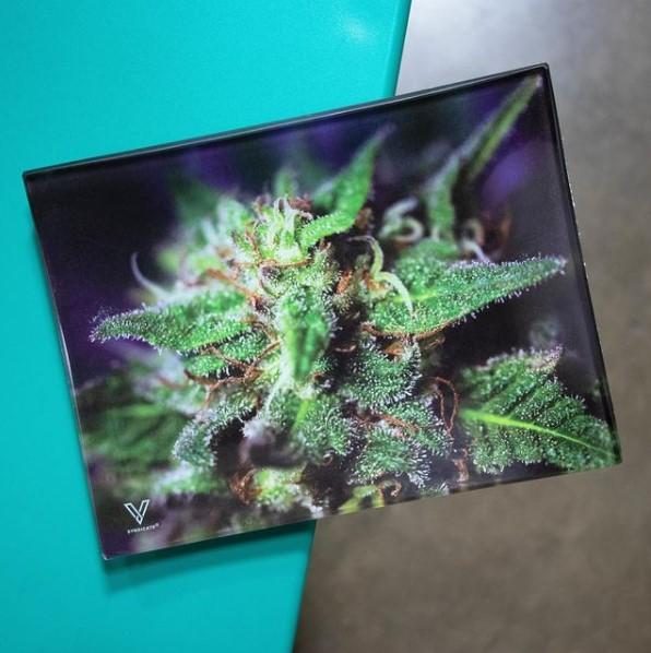 V Syndicate Blue Dream Glass Rollin' Tray with vibrant cannabis imagery, medium size, on teal background
