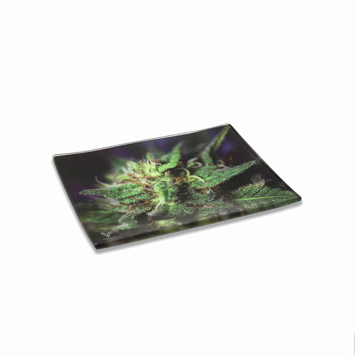 V Syndicate Blue Dream Glass Rollin' Tray with vibrant herb design, medium size, perfect for home decor