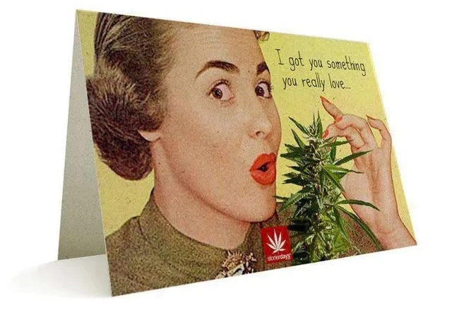 Write the perfect card to your Valentine's Day gift with DankGeek.com's top lines