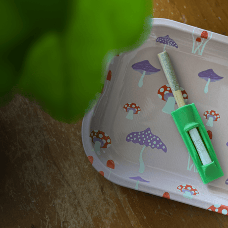 TOKR Filters: A Cleaner, Smarter Way to Smoke