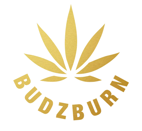 Budzburn