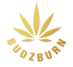 Budzburn logo