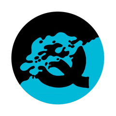 Quartz Qlean logo