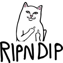 RIPNDIP logo
