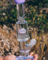 11" AFM Glass Mini Beaker Bong with Tree Perc, Purple Accents, and Showerhead - Outdoor View